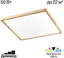 Настенно-потолочный светильник Бейсик CL738K502V Citilux