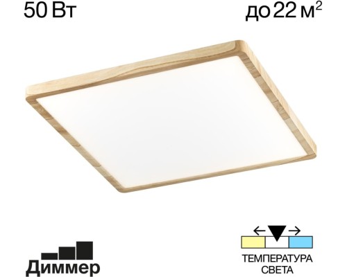 Настенно-потолочный светильник Бейсик CL738K502V Citilux