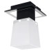 Точечный светильник Lente GRLSC-2507-01 Lussole Loft