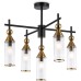 Потолочная люстра HIGH LIGHT LH55256 Ambrella