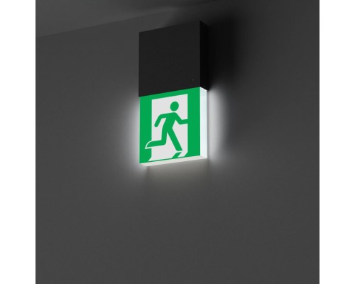 Аварийный светильник EMERGENCY 057966 Arlight