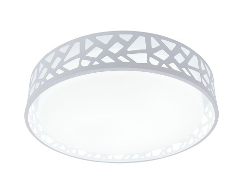 Потолочный светильник Leone TL1205X-72WH TopLight