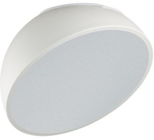 Потолочный светильник Pluto White 7657/35L Sonex