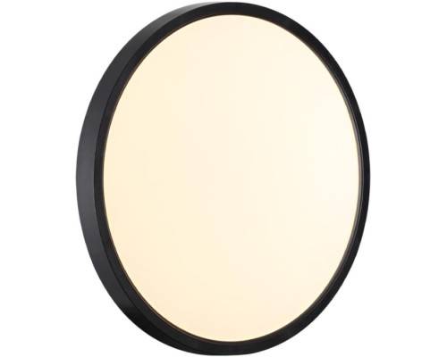 Настенно-потолочный светильник Alfa Black 7660/24L Sonex