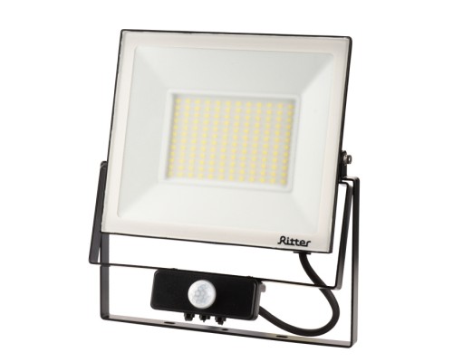 Прожектор уличный PROFI 53424 6 Ritter