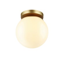 Потолочный светильник уличный Bosco 4247/1C Odeon Light