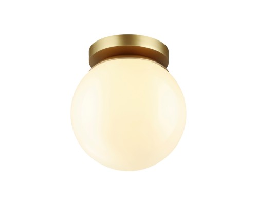 Потолочный светильник уличный Bosco 4247/1C Odeon Light