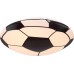 Потолочный светильник Lemmi 54009D1 Globo