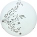 Настенно-потолочный светильник Ornament A3820PL-2CC Arte Lamp