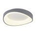 Потолочный светильник Diona MR9190-CL MyFar