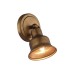 Спот Clochette 2024-1W Favourite