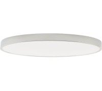 Потолочный светильник Tortty ZRS.02565.120 Zortes