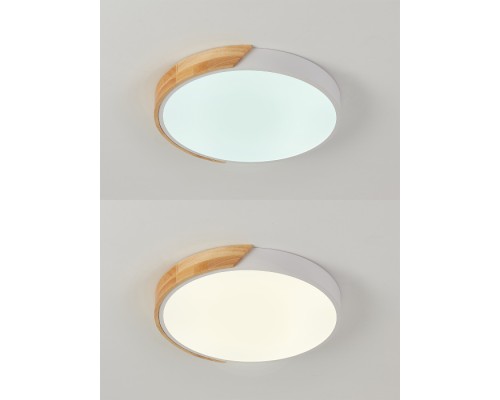 Потолочный светильник Scandinavian LED LAMPS 81181 Natali Kovaltseva