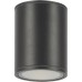 Потолочный светильник уличный Bar O306CL-L12GF Maytoni