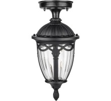 Потолочный светильник уличный FES 86305A Bl Oasis Light
