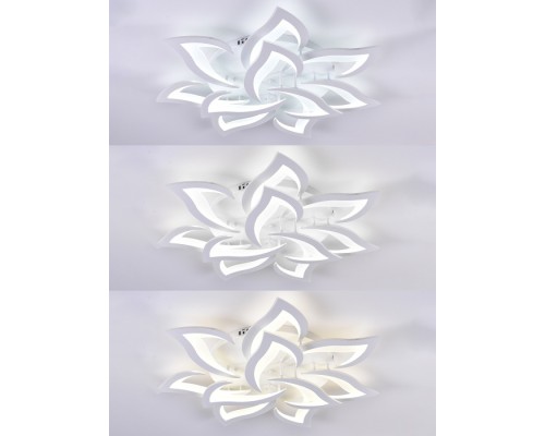 Потолочная люстра Olimp Ii LED LAMPS 85008 Natali Kovaltseva