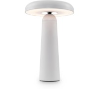 Интерьерная настольная лампа Mushroom FR6109TL-L4W Freya