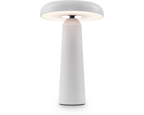 Интерьерная настольная лампа Mushroom FR6109TL-L4W Freya