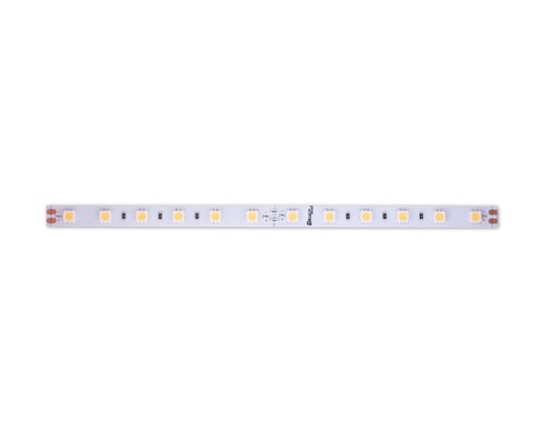 Светодиодная лента LUX DSG560-24-WW-33 DesignLed
