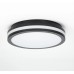 Потолочный светильник LUNS CL711011V Citilux