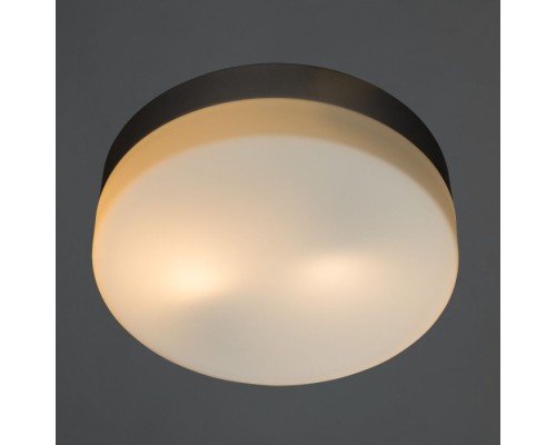 Потолочный светильник Aqua-tablet A3211PL-2SI Arte Lamp
