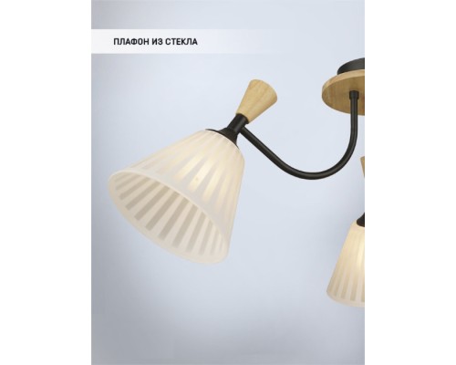 Потолочная люстра Vestmar WD3577/3C-BK-WT Wedo Light