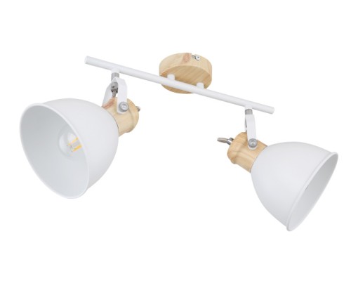 Спот Wiho 54018-2 Globo