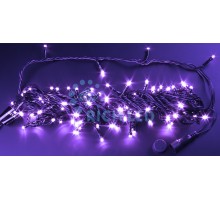 Гирлянда  RL-S10CF-24V-B/V Rich LED