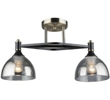 Потолочная люстра Giordzhi WD3620/2C-AB-BK-SMK Wedo Light
