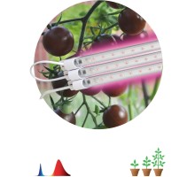 Светильник для растений  FITO-3х10W-LINE-RB90 ЭРА
