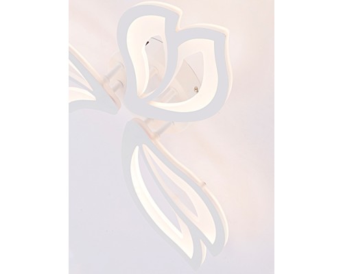 Потолочная люстра Fortuna LED LAMPS 81107/2C Natali Kovaltseva