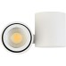 Точечный светильник Eva A1594White/RAL9003 Donolux