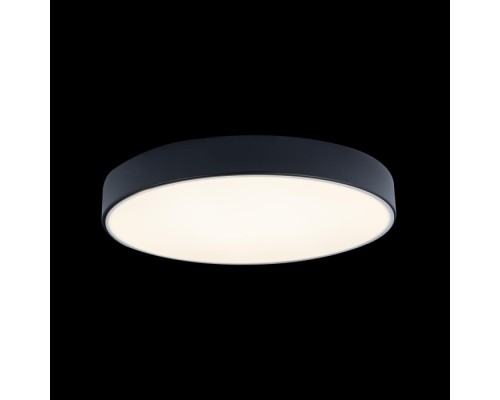 Потолочный светильник Axel 10002/24 Black Loft It