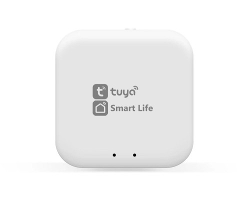 Wi-Fi конвертер Track System GL1920 Ambrella