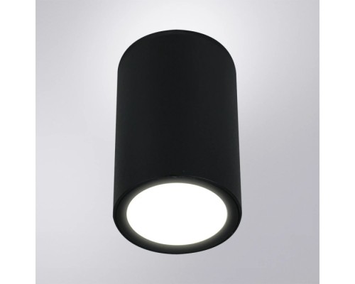 Потолочный светильник уличный Torcular A1307PF-1BK Arte Lamp