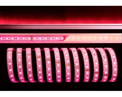 Светодиодная лента SMD5050 840241 Deko-Light