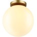 Потолочный светильник уличный Bosco 4248/1C Odeon Light