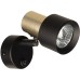 Спот Sat CL505611 Citilux