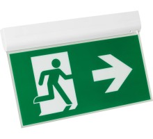 Аварийный светильник EMERGENCY 045655 Arlight