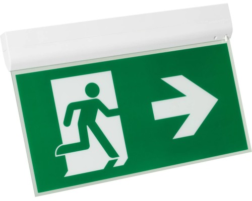 Аварийный светильник EMERGENCY 045655 Arlight