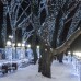 Гирлянда CLASSIC 025797 Ardecoled
