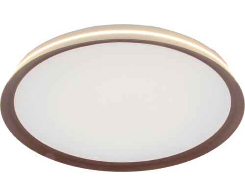 Потолочный светильник Titan MZ31502-430 Mizi'en