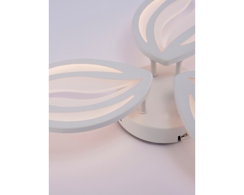 Потолочная люстра Sm LED LAMPS 81456 Natali Kovaltseva