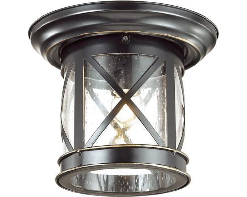 Потолочный светильник уличный Sation 4045/1C Odeon Light