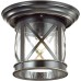 Потолочный светильник уличный Sation 4045/1C Odeon Light