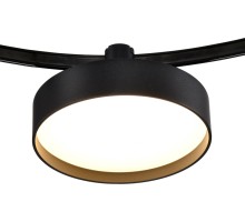 Трековый светильник DUE 207537 Lightstar