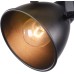 Спот Ibbi FR4276-CW-01-B Freya