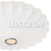 Потолочный светильник Cocoon A6090PL-2WH Arte Lamp