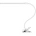 Интерьерная настольная лампа Conference A1106LT-1WH Arte Lamp