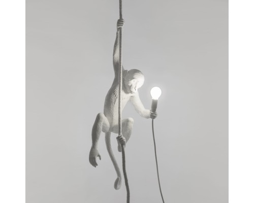Подвесной светильник Monkey Lamp 14883 Seletti